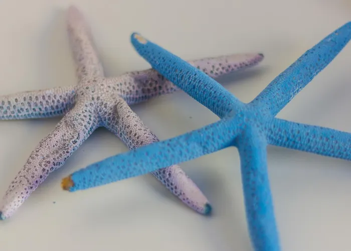 Le Conchiglie Marettimo